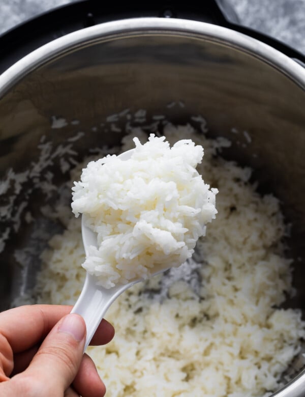 cooked jasmine rice on a rice paddle held above instant pot