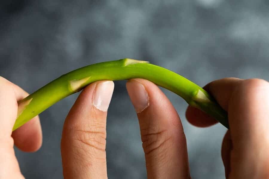 preparing asparagus by snapping ends off